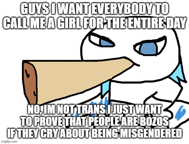 idfk | GUYS I WANT EVERYBODY TO CALL ME A GIRL FOR THE ENTIRE DAY; NO, IM NOT TRANS I JUST WANT TO PROVE THAT PEOPLE ARE BOZOS IF THEY CRY ABOUT BEING MISGENDERED | image tagged in lordreaperus smoking a fat blunt | made w/ Imgflip meme maker