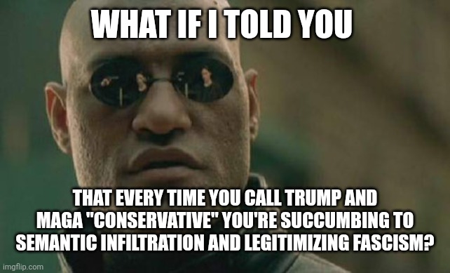 Matrix Morpheus Meme | WHAT IF I TOLD YOU; THAT EVERY TIME YOU CALL TRUMP AND MAGA "CONSERVATIVE" YOU'RE SUCCUMBING TO SEMANTIC INFILTRATION AND LEGITIMIZING FASCISM? | image tagged in matrix morpheus,conservatism,fascism,know the difference,semantic infiltration,based | made w/ Imgflip meme maker