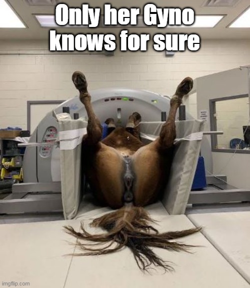 Only her Gyno knows for sure | made w/ Imgflip meme maker