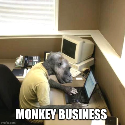 Monkey Business Meme | MONKEY BUSINESS | image tagged in memes,monkey business | made w/ Imgflip meme maker