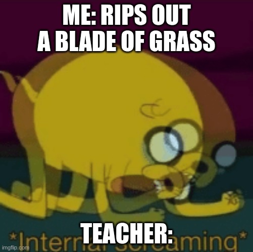 Jake The Dog Internal Screaming | ME: RIPS OUT A BLADE OF GRASS; TEACHER: | image tagged in jake the dog internal screaming | made w/ Imgflip meme maker