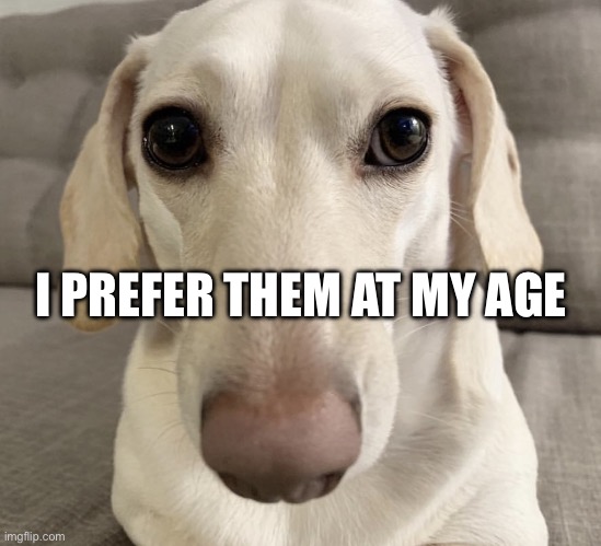 Pedophobe | I PREFER THEM AT MY AGE | image tagged in homophobic dog | made w/ Imgflip meme maker