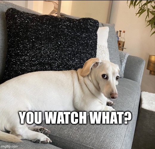 Pedophobe | YOU WATCH WHAT? | image tagged in homophobic doggo | made w/ Imgflip meme maker