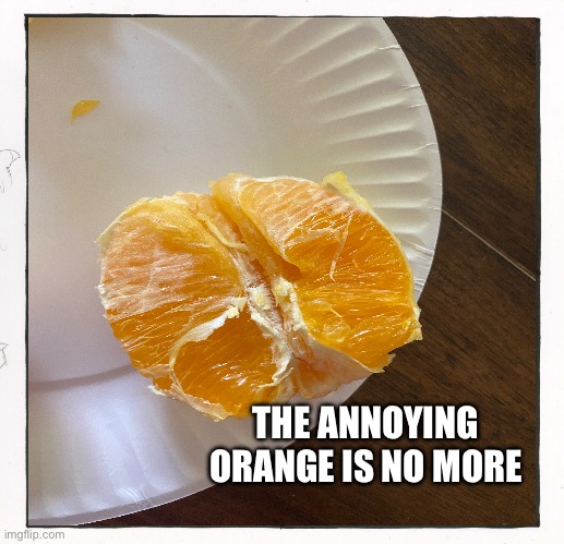 Lol | THE ANNOYING ORANGE IS NO MORE | image tagged in lol,rip | made w/ Imgflip meme maker