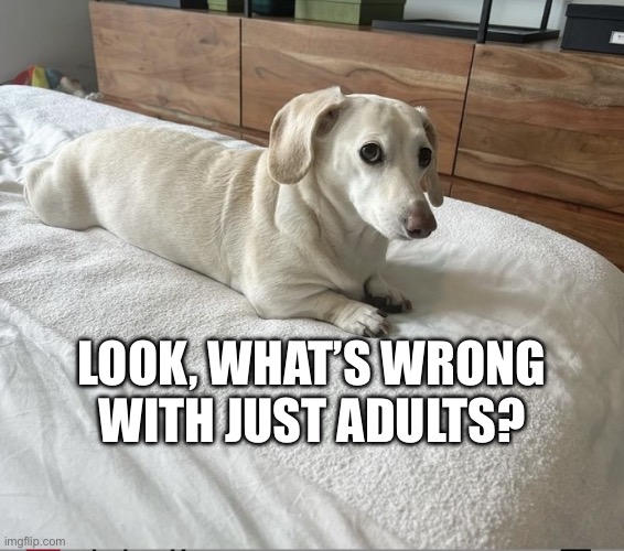 Pedophobe | LOOK, WHAT’S WRONG
WITH JUST ADULTS? | image tagged in homophobic dog | made w/ Imgflip meme maker