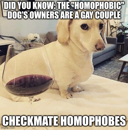 When did this dog become the face of homophobia? | DID YOU KNOW: THE ''HOMOPHOBIC'' DOG'S OWNERS ARE A GAY COUPLE; CHECKMATE HOMOPHOBES | image tagged in lgbtq | made w/ Imgflip meme maker