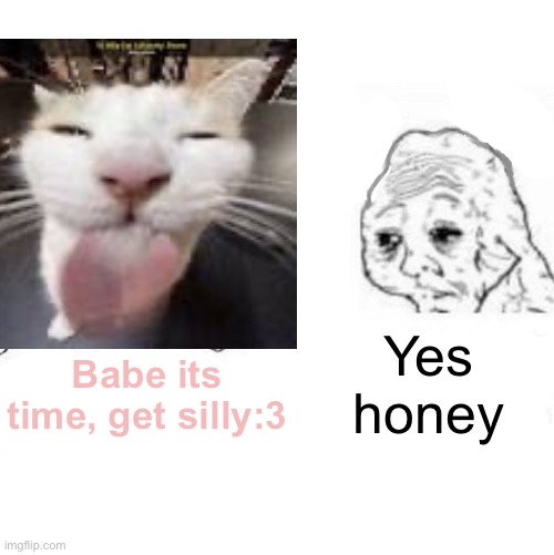 Silly:3 | Yes honey; Babe its time, get silly:3 | image tagged in silly | made w/ Imgflip meme maker