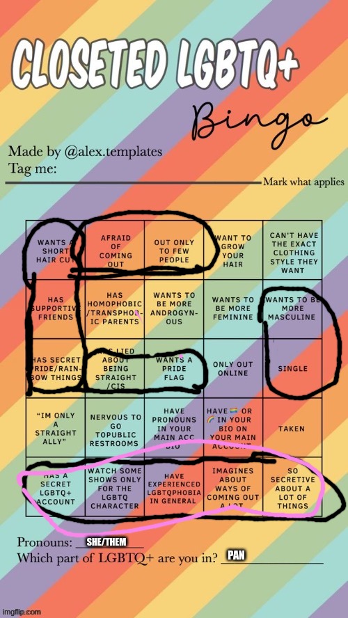 Closeted LGBTQ+ Bingo | SHE/THEM; PAN | image tagged in closeted lgbtq bingo | made w/ Imgflip meme maker