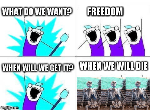 Now we are free >) | FREEDOM; WHEN WE WILL DIE | image tagged in what do we want with waiting skeletons,dark humour,skeleton waiting | made w/ Imgflip meme maker