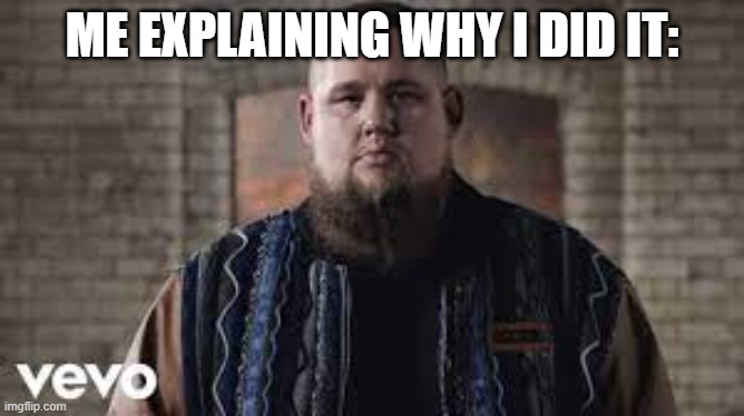 Rag 'n' bone man | ME EXPLAINING WHY I DID IT: | image tagged in rag 'n' bone man | made w/ Imgflip meme maker