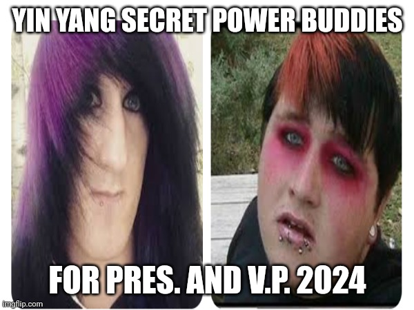 Elections | YIN YANG SECRET POWER BUDDIES; FOR PRES. AND V.P. 2024 | image tagged in funny | made w/ Imgflip meme maker