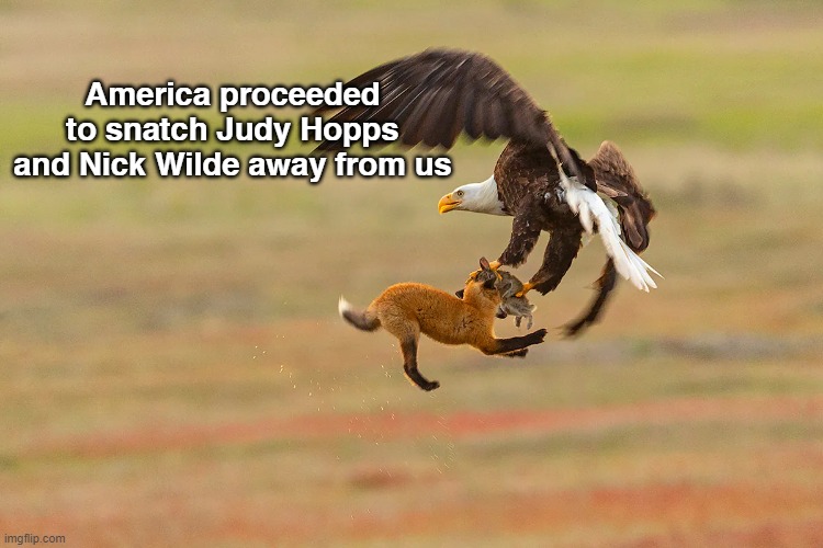 America taking away our beloved characters | America proceeded to snatch Judy Hopps and Nick Wilde away from us | image tagged in judy hopps,nick wilde,united states of america | made w/ Imgflip meme maker