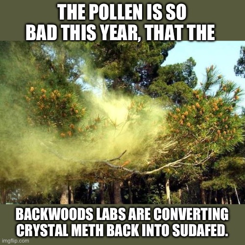 Pollen | THE POLLEN IS SO BAD THIS YEAR, THAT THE; BACKWOODS LABS ARE CONVERTING CRYSTAL METH BACK INTO SUDAFED. | image tagged in allergies | made w/ Imgflip meme maker