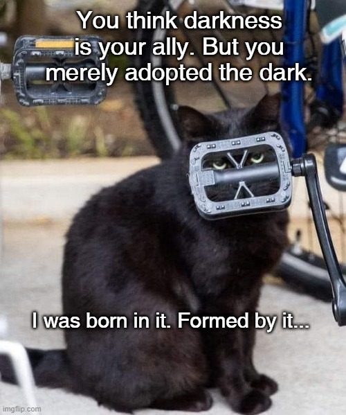 Bane cat | You think darkness is your ally. But you merely adopted the dark. I was born in it. Formed by it... | image tagged in batman,quote | made w/ Imgflip meme maker