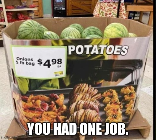 * Face plant* | YOU HAD ONE JOB. | image tagged in you had one job | made w/ Imgflip meme maker