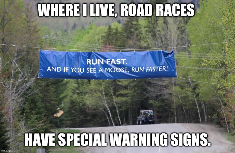 Watch out for moose | WHERE I LIVE, ROAD RACES; HAVE SPECIAL WARNING SIGNS. | image tagged in new hampshire | made w/ Imgflip meme maker