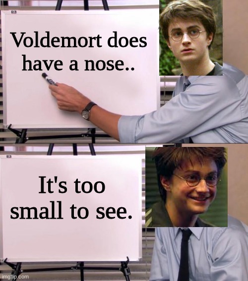 True. | Voldemort does have a nose.. It's too small to see. | image tagged in jim halpert explains | made w/ Imgflip meme maker