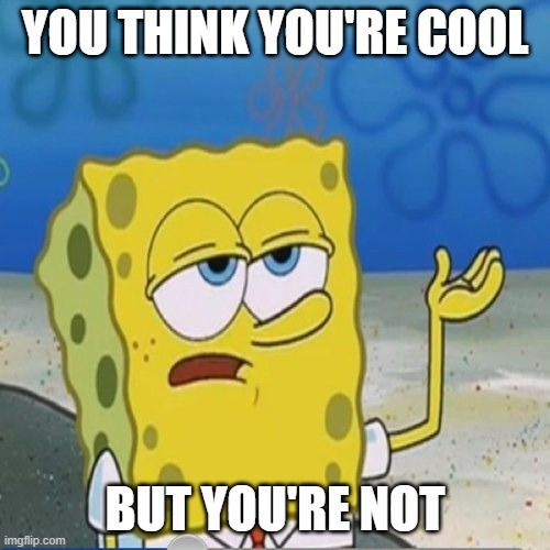 Not Cool | YOU THINK YOU'RE COOL; BUT YOU'RE NOT | image tagged in funny,so true | made w/ Imgflip meme maker