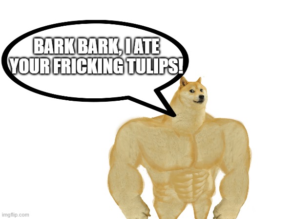 BARK BARK, I ATE YOUR FRICKING TULIPS! | made w/ Imgflip meme maker