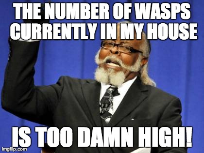 Too Damn High Meme | THE NUMBER OF WASPS CURRENTLY IN MY HOUSE IS TOO DAMN HIGH! | image tagged in memes,too damn high | made w/ Imgflip meme maker