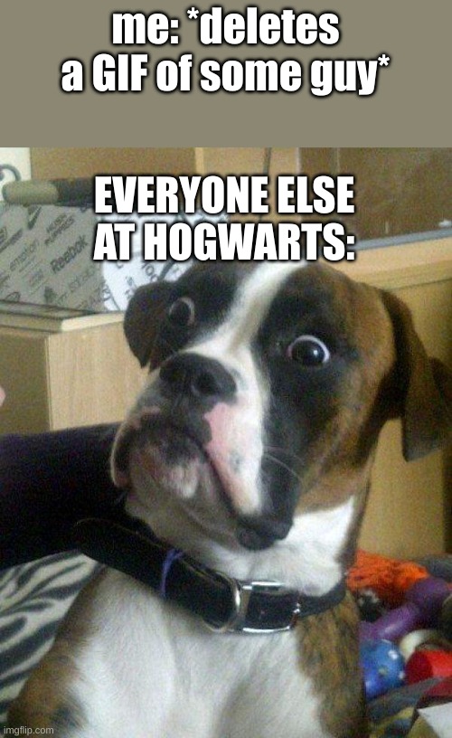 Blankie the Shocked Dog | me: *deletes a GIF of some guy*; EVERYONE ELSE AT HOGWARTS: | image tagged in blankie the shocked dog | made w/ Imgflip meme maker