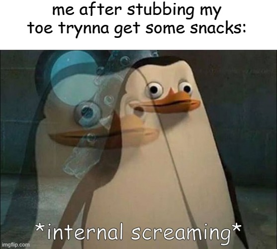 Private Internal Screaming | me after stubbing my toe trynna get some snacks: | image tagged in private internal screaming | made w/ Imgflip meme maker