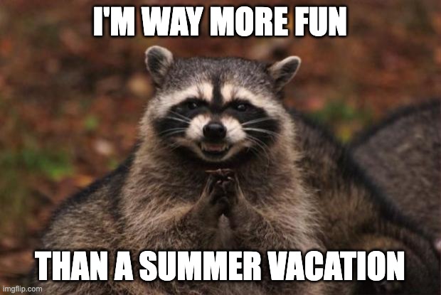 Evil Raccoon | I'M WAY MORE FUN; THAN A SUMMER VACATION | image tagged in evil genius racoon | made w/ Imgflip meme maker