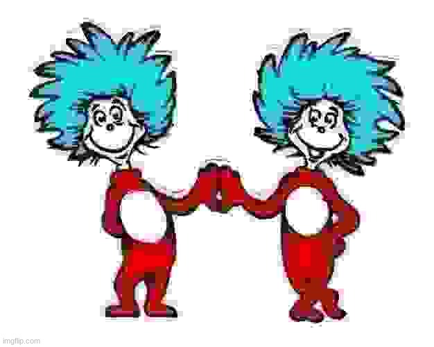 Thing One and Thing Two | image tagged in thing one and thing two | made w/ Imgflip meme maker