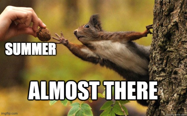 Almost there. 3 more days | SUMMER | image tagged in almost there | made w/ Imgflip meme maker