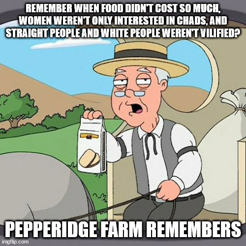 Pepperidge Farm Remembers Meme | REMEMBER WHEN FOOD DIDN'T COST SO MUCH, WOMEN WEREN'T ONLY INTERESTED IN CHADS, AND STRAIGHT PEOPLE AND WHITE PEOPLE WEREN'T VILIFIED? PEPPERIDGE FARM REMEMBERS | image tagged in memes,pepperidge farm remembers | made w/ Imgflip meme maker