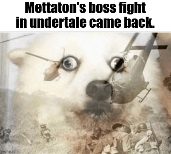 PTSD dog | Mettaton's boss fight in undertale came back. | image tagged in ptsd dog | made w/ Imgflip meme maker