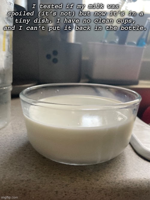 Eh. I’m home alone so I’ll just drink it like the cats do | I tested if my milk was spoiled (it’s not) but now it’s in a tiny dish. I have no clean cups, and I can’t put it back in the bottle. | made w/ Imgflip meme maker