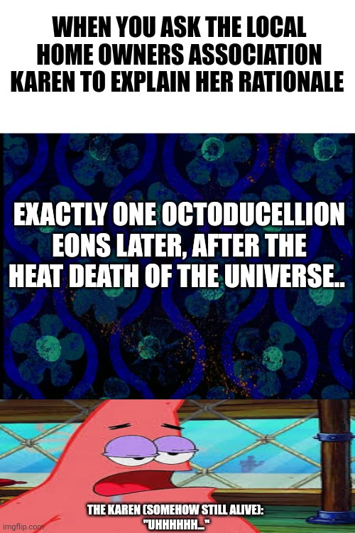 Would you just explain yourself, Karen?!?!? | WHEN YOU ASK THE LOCAL HOME OWNERS ASSOCIATION KAREN TO EXPLAIN HER RATIONALE; EXACTLY ONE OCTODUCELLION EONS LATER, AFTER THE HEAT DEATH OF THE UNIVERSE.. THE KAREN (SOMEHOW STILL ALIVE): 
"UHHHHHH..." | image tagged in spongebob time card blank | made w/ Imgflip meme maker