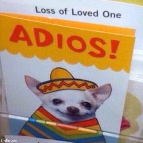 adios | image tagged in chihuahua adios,dark humor,get real | made w/ Imgflip meme maker