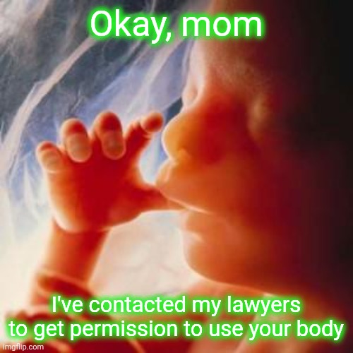This is what leftists think need to happen for a baby to use her body. | Okay, mom; I've contacted my lawyers to get permission to use your body | image tagged in fetus,delusional,scumbag democrats,morons | made w/ Imgflip meme maker