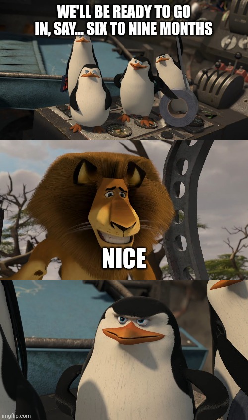 No, six TO nine months! | WE'LL BE READY TO GO IN, SAY... SIX TO NINE MONTHS; NICE | image tagged in madagascar,nice,69,sassy | made w/ Imgflip meme maker