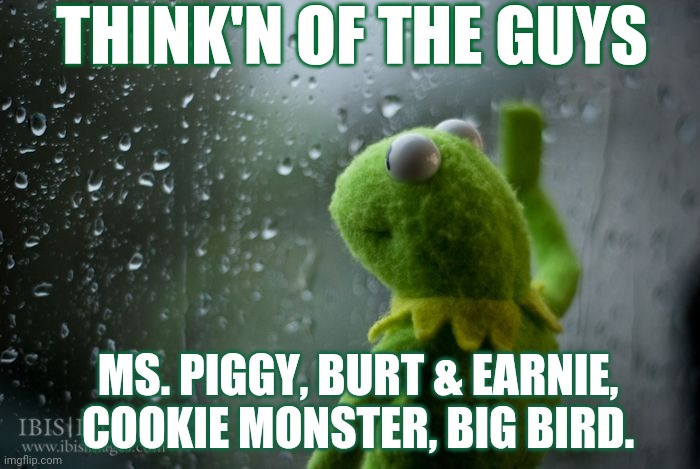 Kermit thinking of his Sesame Street friends | THINK'N OF THE GUYS; MS. PIGGY, BURT & EARNIE, COOKIE MONSTER, BIG BIRD. | image tagged in kermit window | made w/ Imgflip meme maker