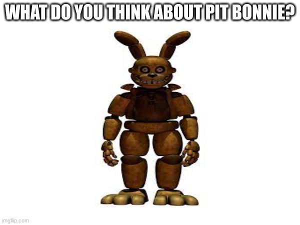 what do you guys think about pit bonnie | WHAT DO YOU THINK ABOUT PIT BONNIE? | image tagged in bonnie,fnaf,novel,book,spring,1980s | made w/ Imgflip meme maker