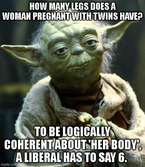 Star Wars Yoda | HOW MANY LEGS DOES A WOMAN PREGNANT WITH TWINS HAVE? TO BE LOGICALLY COHERENT ABOUT 'HER BODY', A LIBERAL HAS TO SAY 6. | image tagged in memes,star wars yoda | made w/ Imgflip meme maker