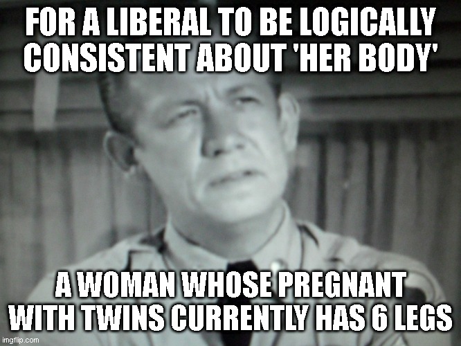 One of the Andy Griffith Show Octuplets | FOR A LIBERAL TO BE LOGICALLY CONSISTENT ABOUT 'HER BODY' A WOMAN WHOSE PREGNANT WITH TWINS CURRENTLY HAS 6 LEGS | image tagged in one of the andy griffith show octuplets | made w/ Imgflip meme maker