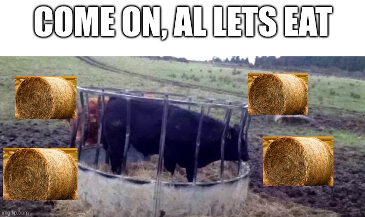 The al stands for alfalfa ( a type of grass ) | COME ON, AL LETS EAT | image tagged in farming | made w/ Imgflip meme maker