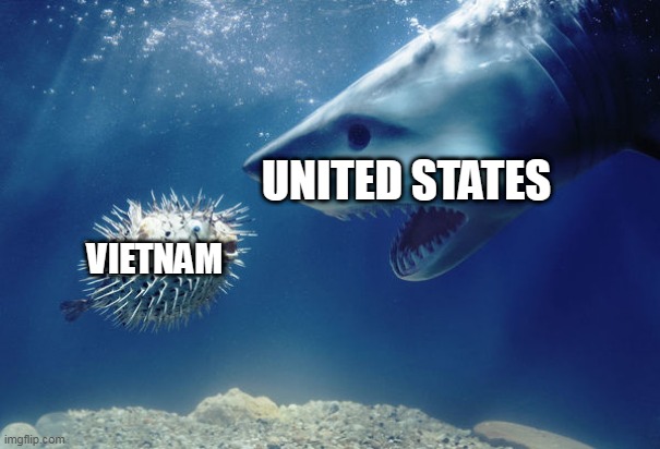 The Vietnam War In A Nutshell | UNITED STATES; VIETNAM | image tagged in shark and pufferfish,vietnam,war,the vietnam war,vietnam war,nutshell | made w/ Imgflip meme maker