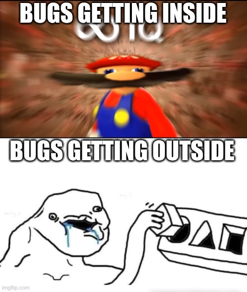 BUGS GETTING INSIDE; BUGS GETTING OUTSIDE | image tagged in infinity iq mario,stupid dumb drooling puzzle,bugs,summer,mosquito | made w/ Imgflip meme maker