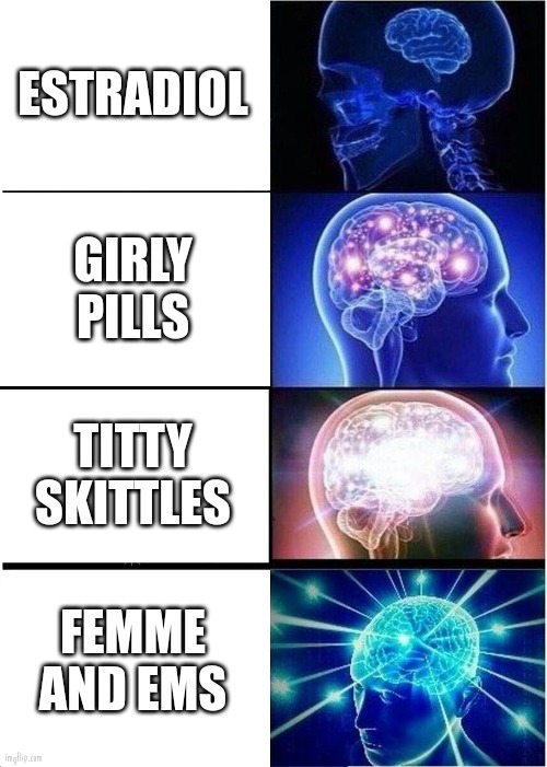 Expanding Brain Meme | ESTRADIOL; GIRLY PILLS; TITTY SKITTLES; FEMME AND EMS | image tagged in memes,expanding brain | made w/ Imgflip meme maker