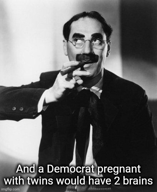 Groucho Marx | And a Democrat pregnant with twins would have 2 brains | image tagged in groucho marx | made w/ Imgflip meme maker