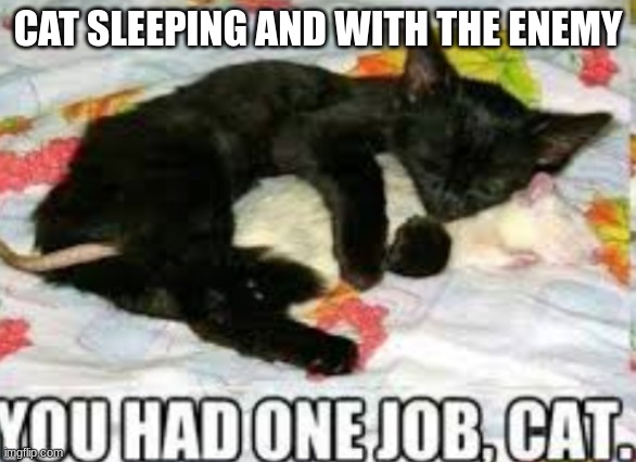 subscribe to Glitch PvP | CAT SLEEPING AND WITH THE ENEMY | image tagged in you had one job | made w/ Imgflip meme maker