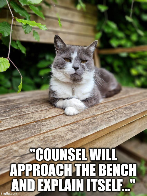 Approach the bench | "COUNSEL WILL APPROACH THE BENCH AND EXPLAIN ITSELF..." | image tagged in cat,courtroom,judge,funny cat memes | made w/ Imgflip meme maker