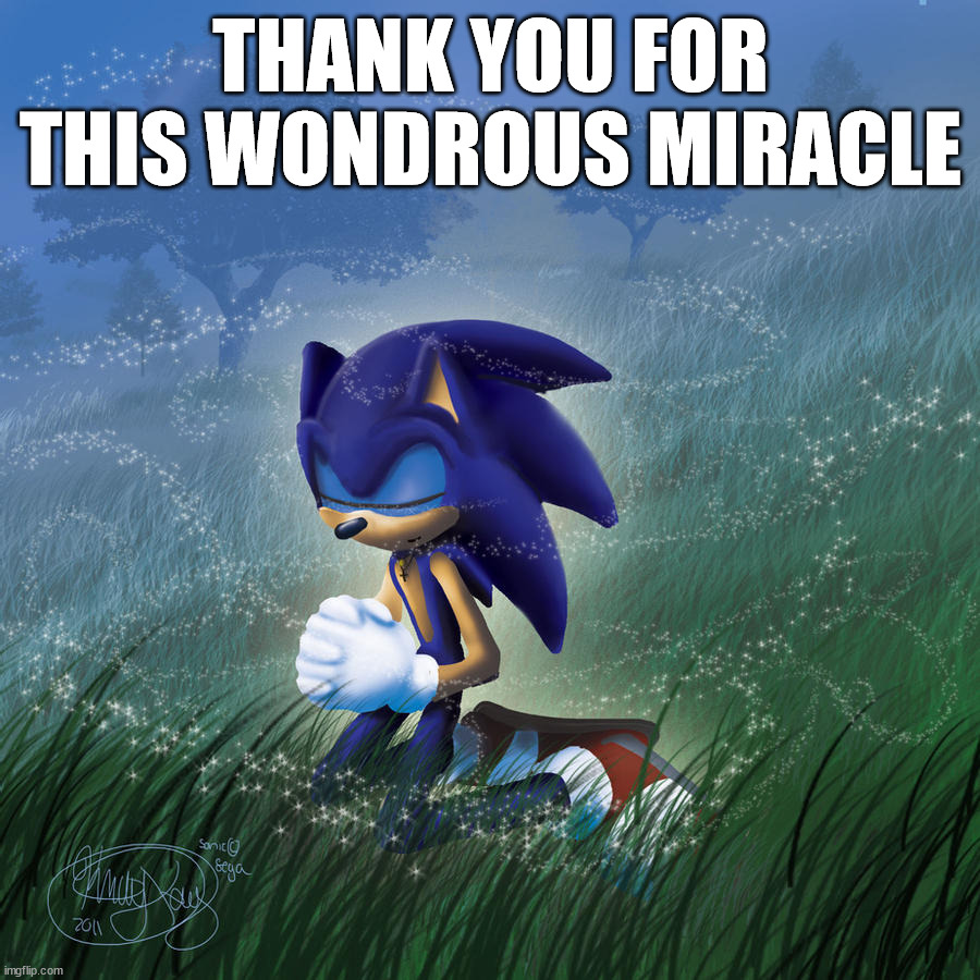 praying sonic | THANK YOU FOR THIS WONDROUS MIRACLE | image tagged in praying sonic | made w/ Imgflip meme maker