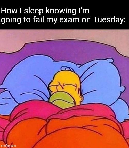 No reason to worry | How I sleep knowing I'm going to fail my exam on Tuesday: | image tagged in homer simpson sleeping peacefully,memes,challenge,school,sleep,exams | made w/ Imgflip meme maker
