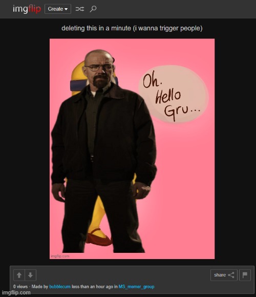 put walter for safety | made w/ Imgflip meme maker